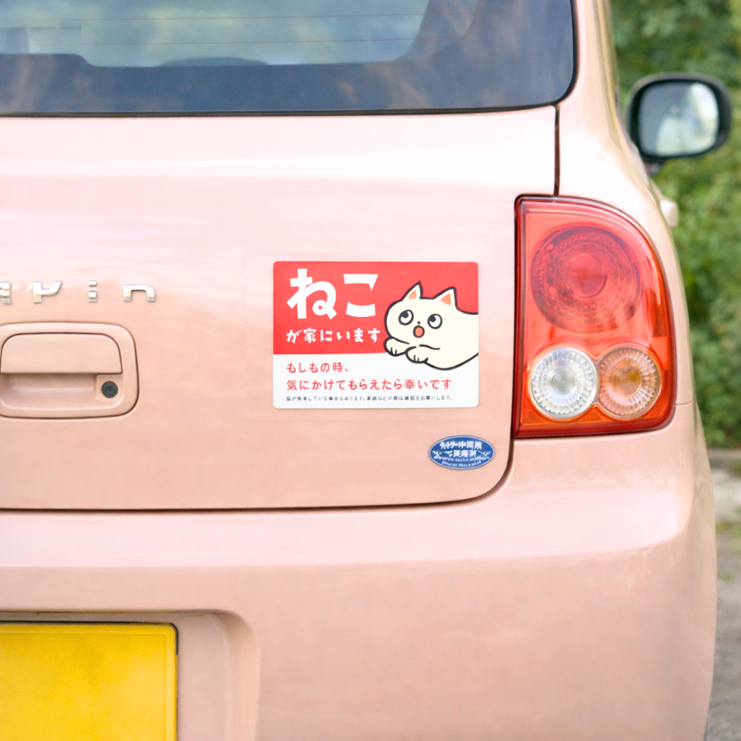 Car Magnet | Cat At Home (Pet Disaster Preparedness Car Sign)
