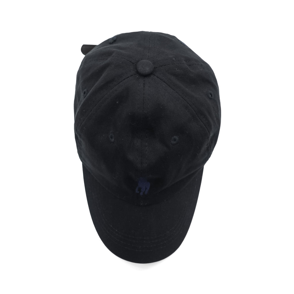 Polo Ralph Lauren Baseball Cap FREE Black Small Pony Embroidery