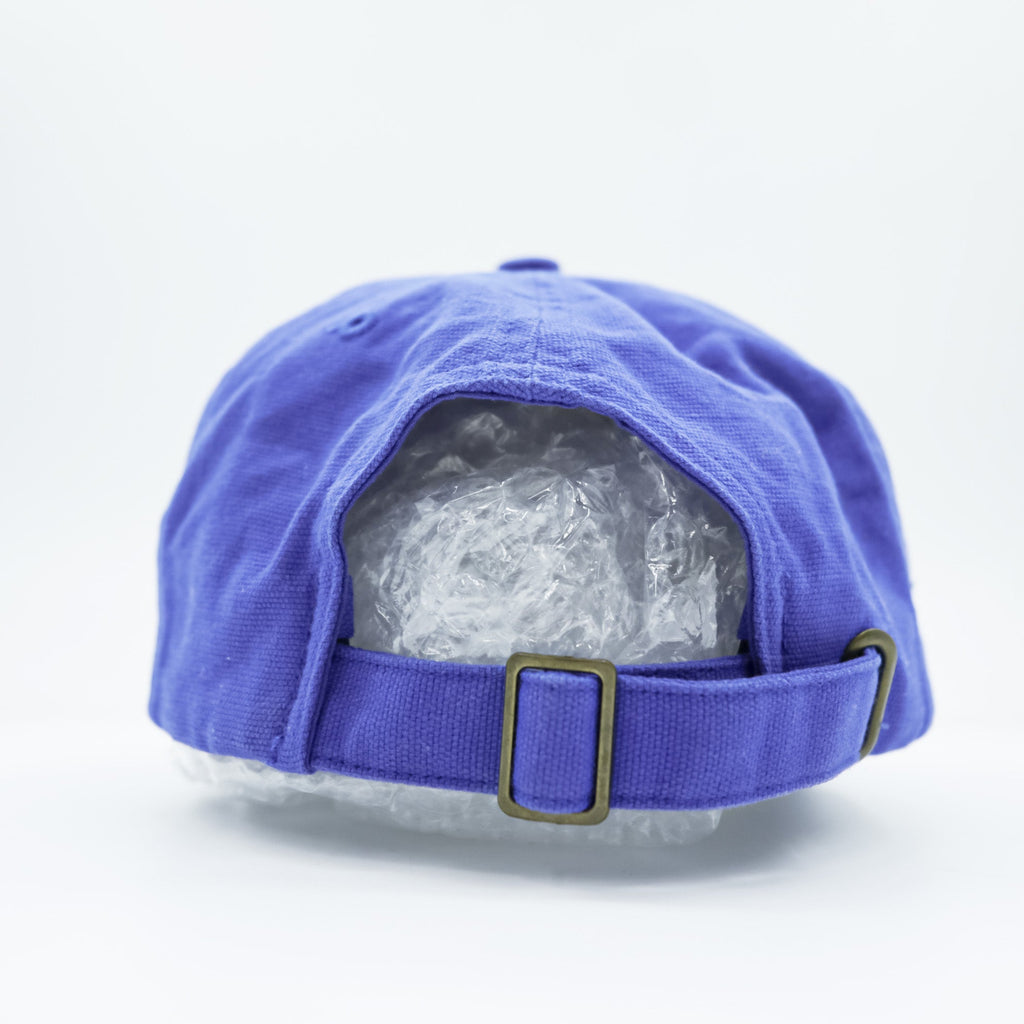 Polo Ralph Lauren Baseball Cap FREE Blue Cotton