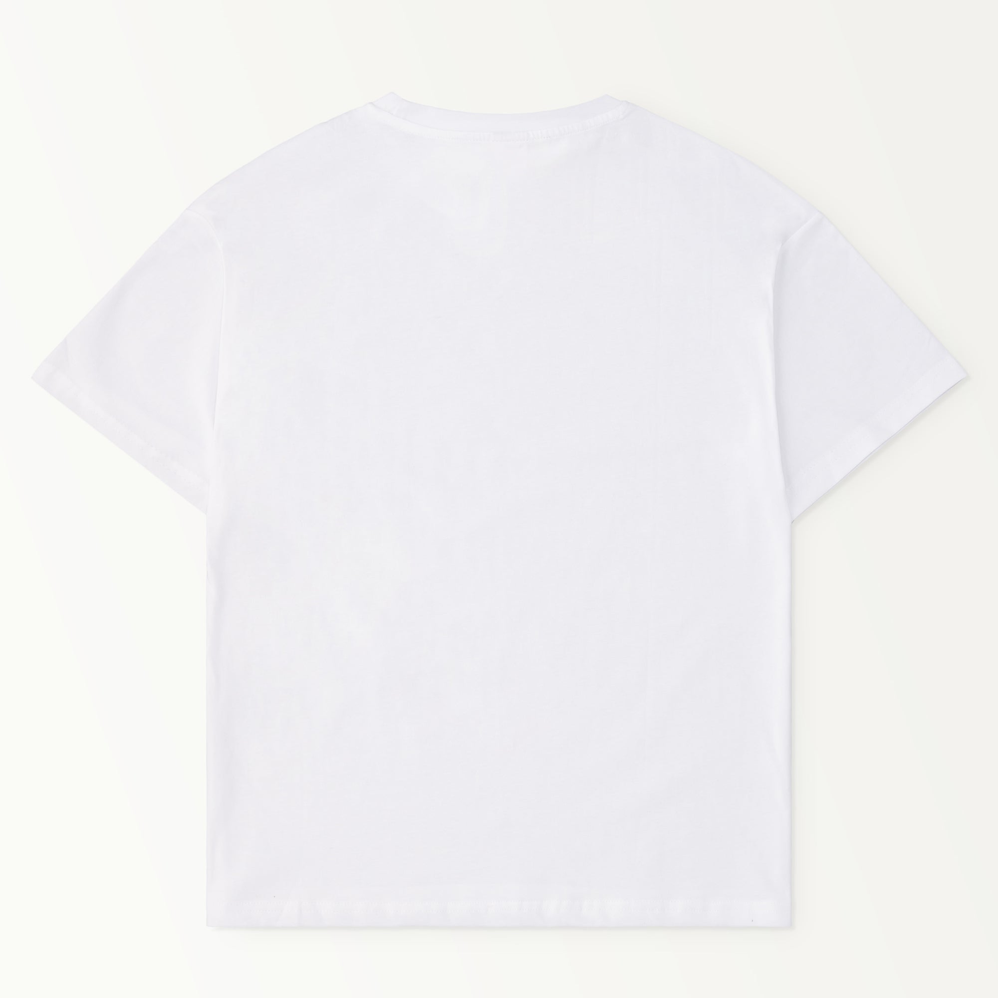 BAG-Logo-T