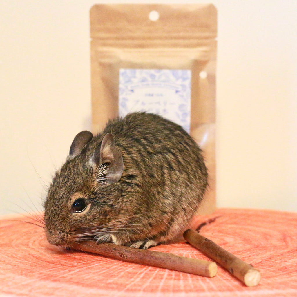 足柄産100%　香るブルーベリーのかじり木＜お得セット30g×3袋＞
