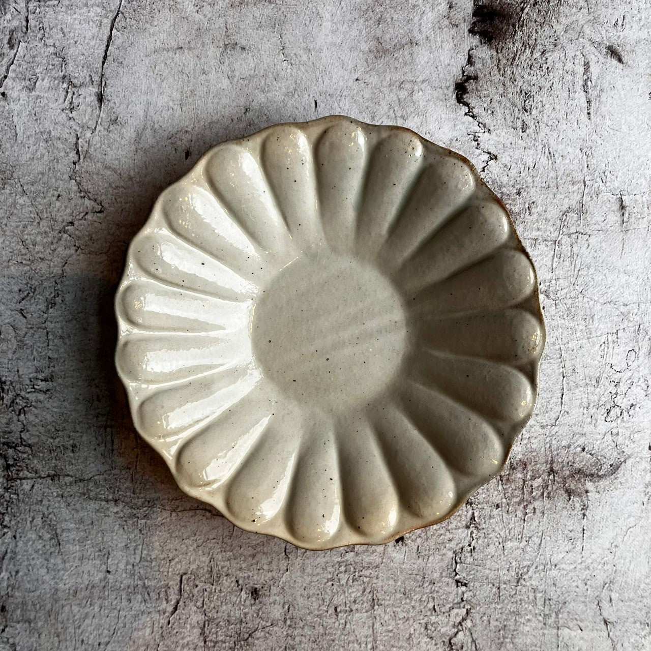 Rinka Deep Plate, Large - Tetsusan | Furutani Tougei (Shigaraki Ware Ceramics) [Old 33]