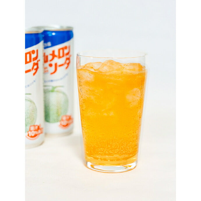 Taniguchi Farm Nakayama Melon Soda 250ml cans x 30 pieces [shipped within Japan]