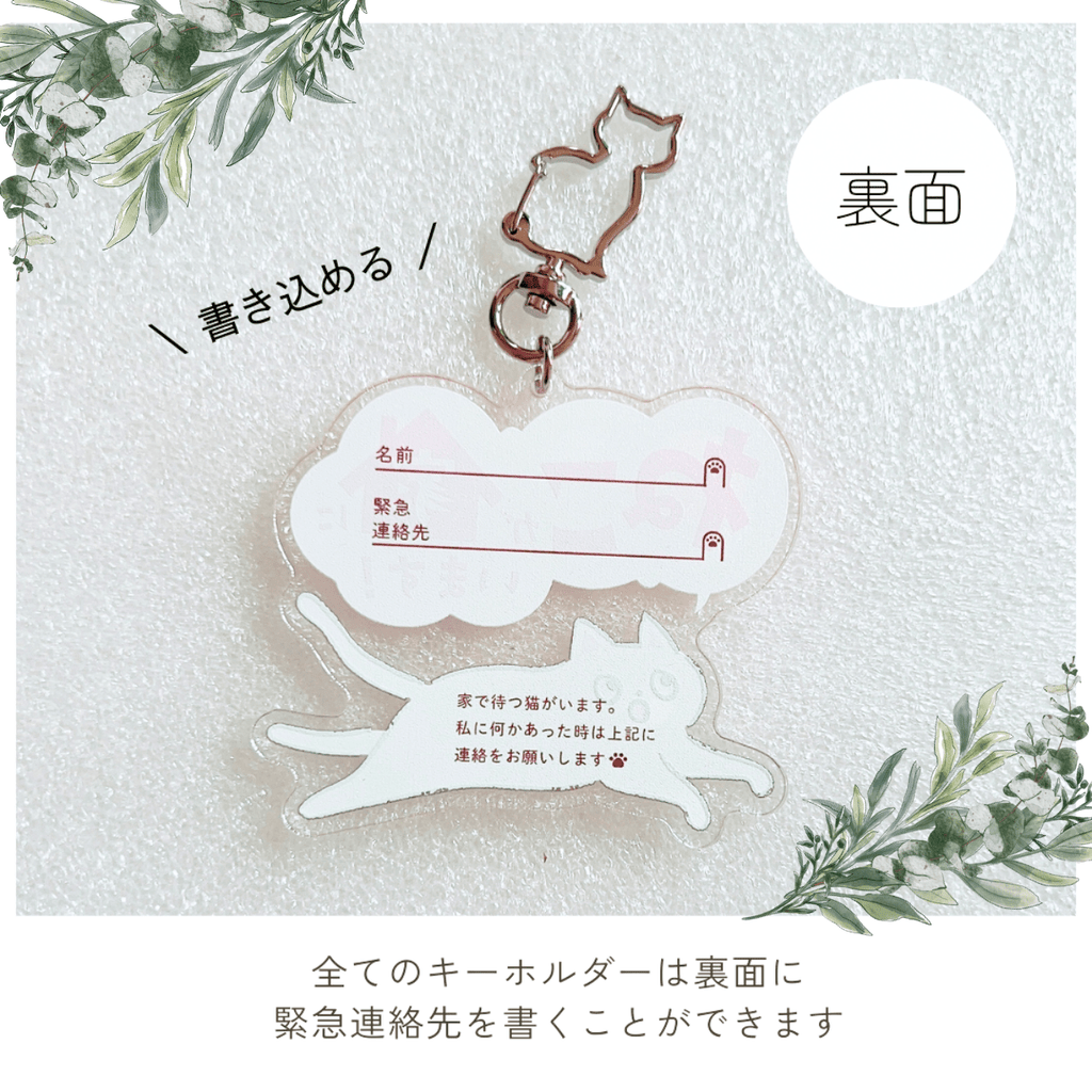 Peace of Mind Box for Life with Cats｜Also Recommended as a Gift! A Preparation Set for Your Beloved Cat