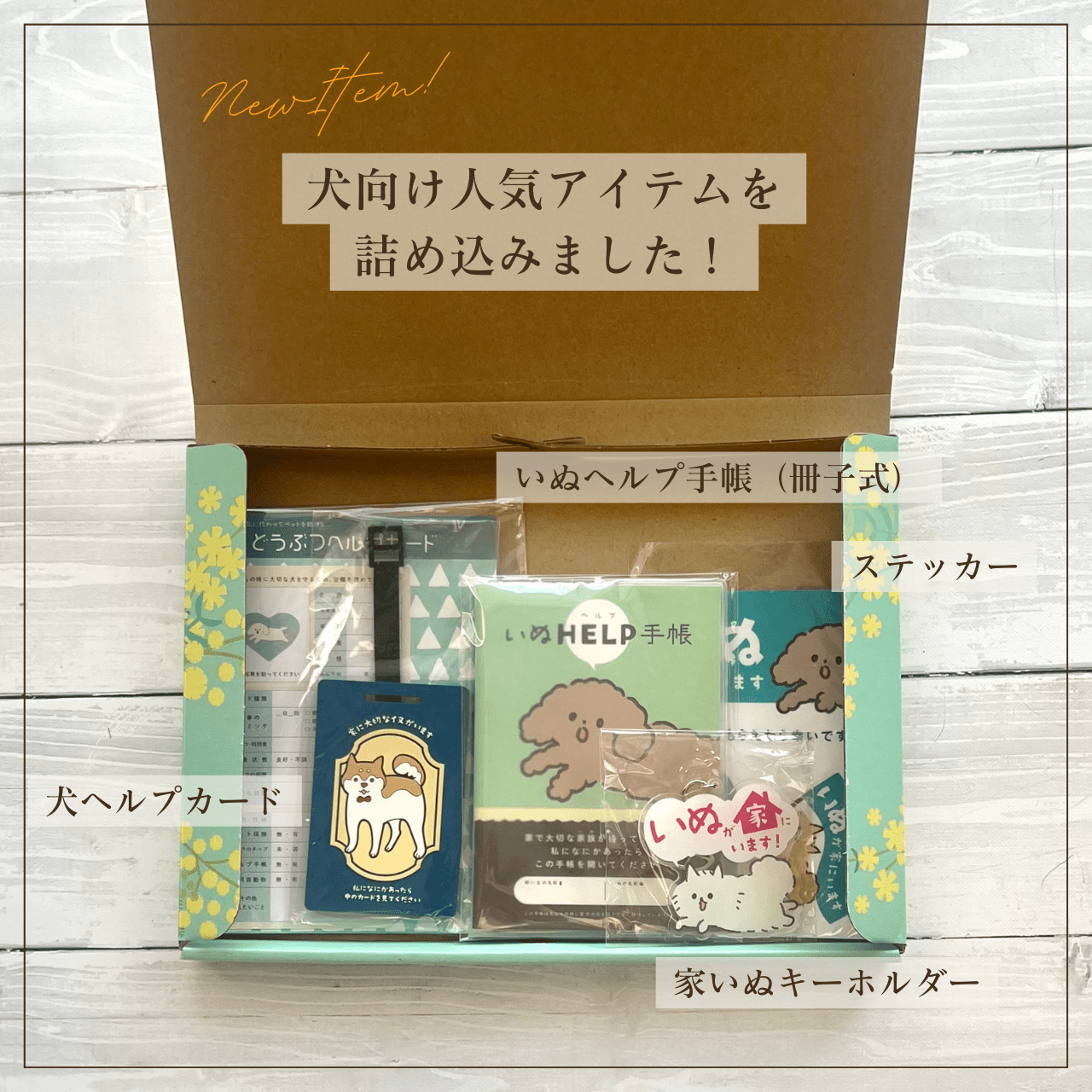 Dog Life Safety Box | Perfect for Gifts! A Preparation Kit for Your Beloved Dog