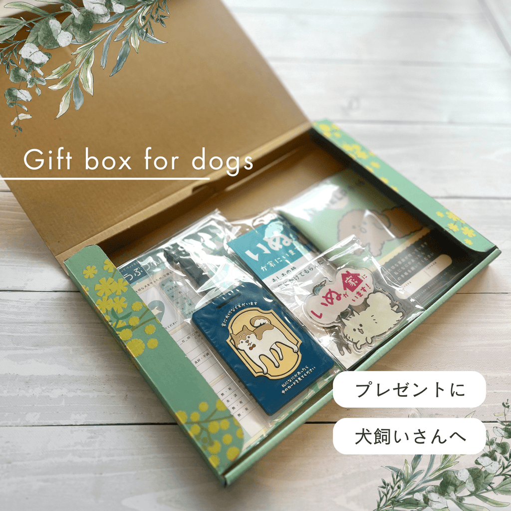 Dog Life Safety Box | Perfect for Gifts! A Preparation Kit for Your Beloved Dog