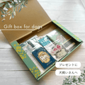 Dog Life Safety Box | Perfect for Gifts! A Preparation Kit for Your Beloved Dog