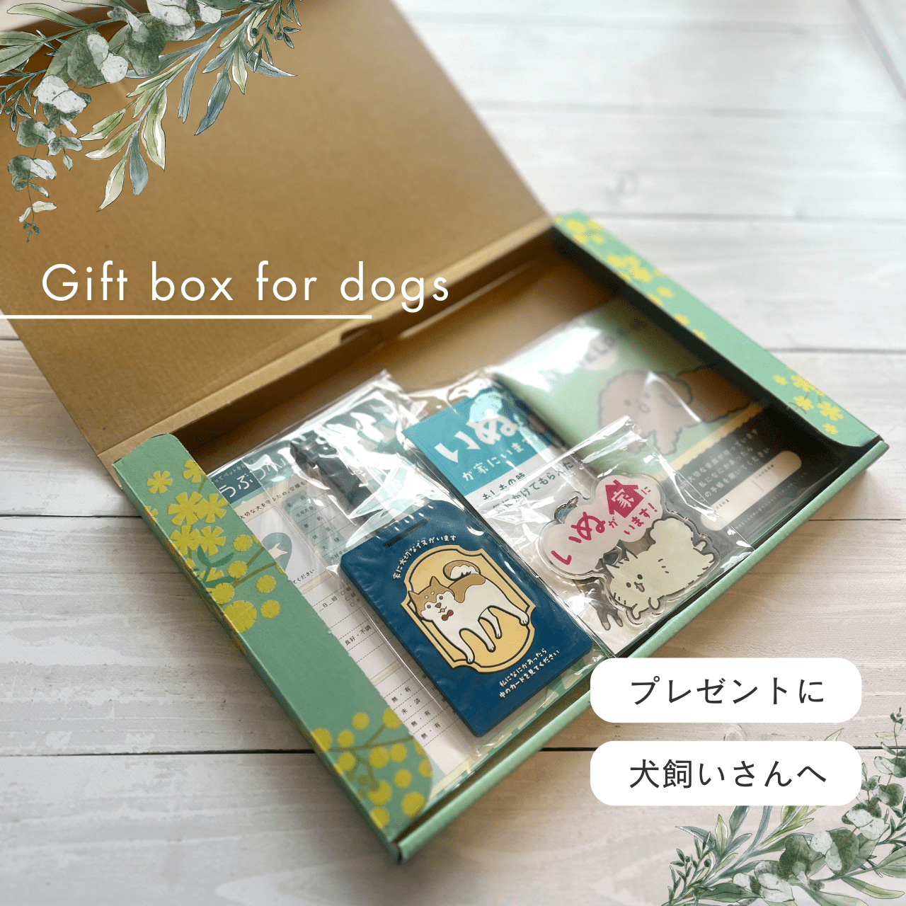 Dog Life Safety Box | Perfect for Gifts! A Preparation Kit for Your Beloved Dog