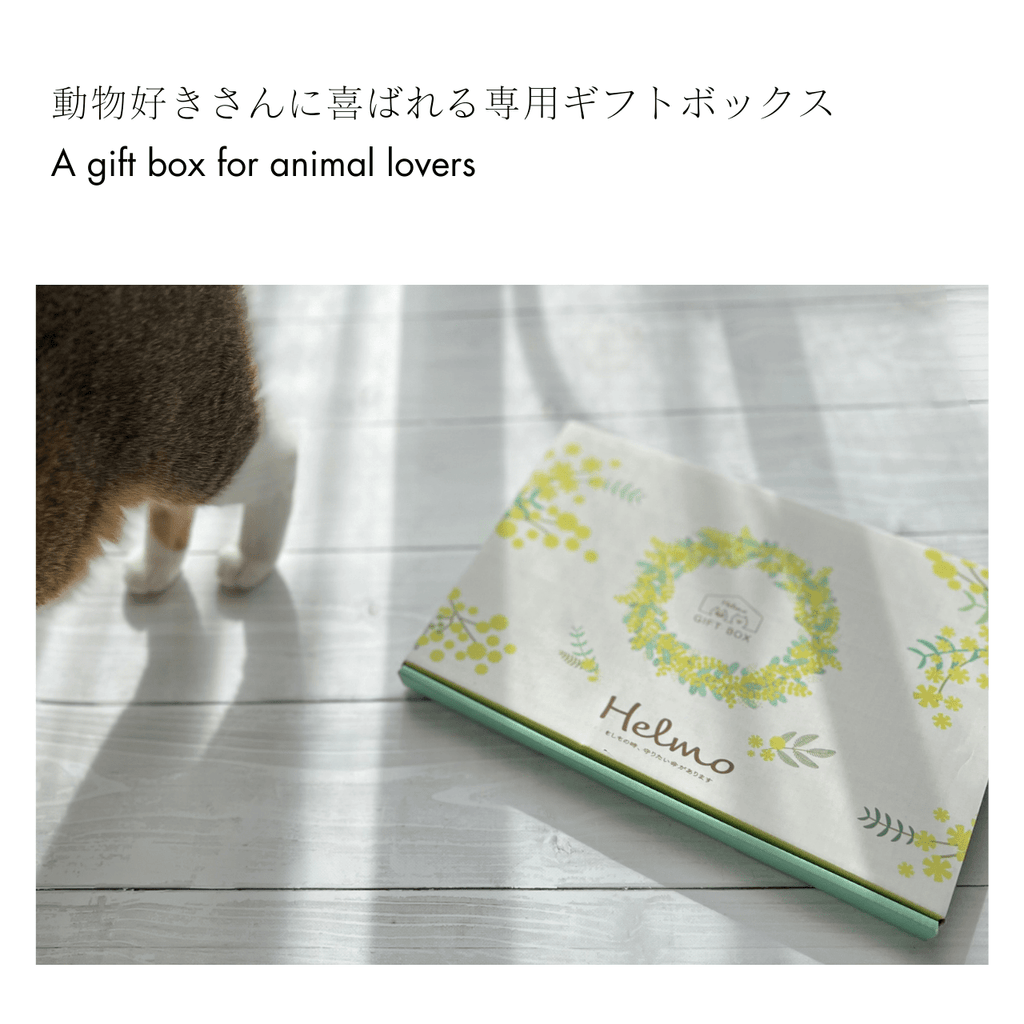 Peace of Mind Box for Life with Cats｜Also Recommended as a Gift! A Preparation Set for Your Beloved Cat